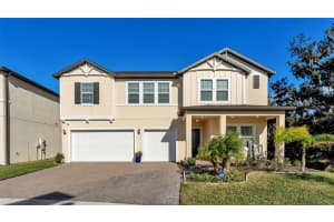 12897 Bergstrom Bay Dr, RIVERVIEW