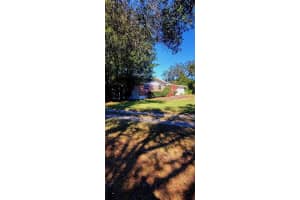 11504 TAYLOR ROAD, THONOTOSASSA, FL 33592 - MLS#MFRL4958727