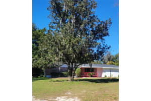 11504 TAYLOR ROAD, THONOTOSASSA, FL 33592 - MLS#MFRL4958727