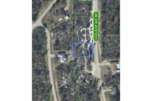 333 COOLIDGE AVENUE, LAKE PLACID, FL 33852 - MLS#MFRL4958793