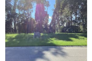 4625 MAJESTIC HILLS LOOP, BROOKSVILLE, FL 34601 - MLS#MFRL4958939