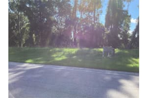 4625 MAJESTIC HILLS LOOP, BROOKSVILLE, FL 34601 - MLS#MFRL4958939