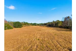 2016 THORNHILL ROAD, AUBURNDALE, FL 33823 - MLS#MFRL4959031