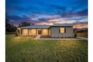 2407 OLD MEDULLA ROAD, LAKELAND, FL 33811 - MLS#MFRL4959113