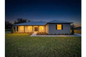 2407 OLD MEDULLA ROAD, LAKELAND, FL 33811 - MLS#MFRL4959113
