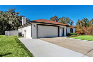 2908 BLACKWATER OAKS DRIVE, MULBERRY, FL 33860 - MLS#MFRL4959304