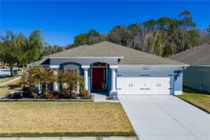5132 Quadrangle Ct, WESLEY CHAPEL