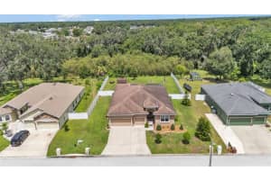 2932 BLACKWATER OAKS DRIVE, MULBERRY, FL 33860 - MLS#MFRL4959397
