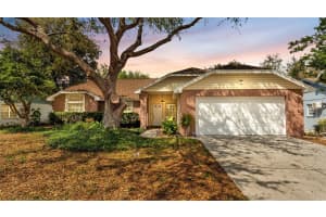 12224 WILDBROOK DRIVE, RIVERVIEW, FL 33569 - MLS#MFRL4959535