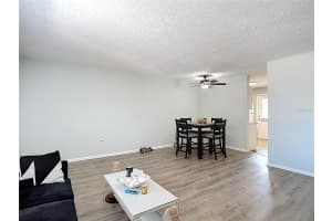 201 PINE VIOLET COURT, TAMPA, FL 33612 - MLS#MFRL4959666