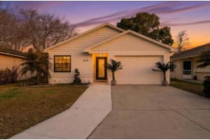 669 EAGLE RUN, LAKELAND, FL 33809 - MLS#MFRL4959718