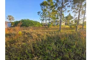 3813 5TH STREET, LEHIGH ACRES, FL 33976 - MLS#MFRL4959769