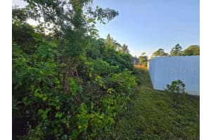 3813 5TH STREET, LEHIGH ACRES, FL 33976 - MLS#MFRL4959769