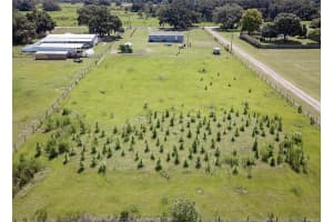 436 ALDERMAN ROAD, LAKELAND, FL 33810 - MLS#MFRL4959795