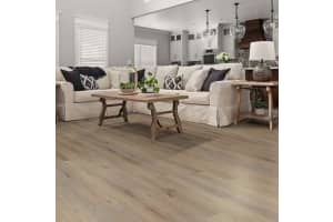 131 DANCING DAHLIA STREET, RUSKIN, FL 33570 - MLS#MFRL4959806