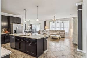 31518 BEARDED OAK DRIVE, WESLEY CHAPEL, FL 33543 - MLS#MFRL4959882