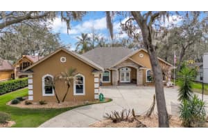1603 SIR HENRYS TRAIL, LAKELAND, FL 33809 - MLS#MFRL4960070