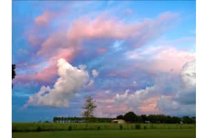 15300 LAKE IOLA ROAD, DADE CITY, FL 33523 - MLS#MFRL4960073