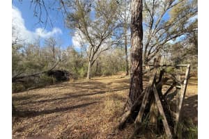 12708 FARMETTES ROAD, LAKELAND, FL 33809 - MLS#MFRL4960112