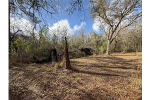 12708 FARMETTES ROAD, LAKELAND, FL 33809 - MLS#MFRL4960112