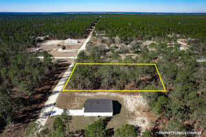 UNDETERMINED TER, DUNNELLON, FL 34432 - MLS#MFRL4960155