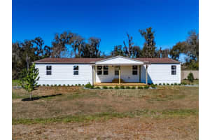 8301 HENRY GEORGE ROAD, PLANT CITY, FL 33567 - MLS#MFRL4960219