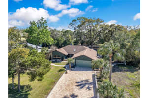 8431 DELAWARE DRIVE, WEEKI WACHEE, FL 34607 - MLS#MFRL4960263