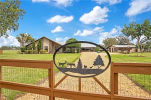 1401 BUELL COURT, PLANT CITY, FL 33567 - MLS#MFRL4960265