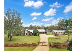 1401 BUELL COURT, PLANT CITY, FL 33567 - MLS#MFRL4960265