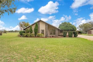 1401 BUELL COURT, PLANT CITY, FL 33567 - MLS#MFRL4960265