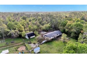 11033 SHERROUSE ROAD, LAKELAND, FL 33810 - MLS#MFRL4960353