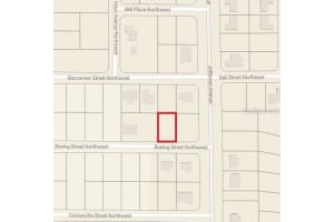 101 BOEING STREET, LAKE PLACID, FL 33852 - MLS#MFRL4960386