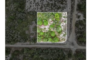 143 PATTON AVENUE, LAKE PLACID, FL 33852 - MLS#MFRL4960431