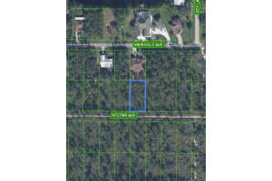 1702 NECTAR AVENUE, SEBRING, FL 33875 - MLS#MFRL4960455