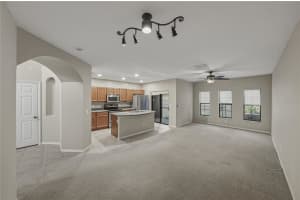 30131 MOSSBANK DRIVE, WESLEY CHAPEL, FL 33543 - MLS#MFRL4960481