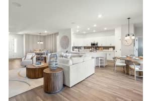 8687 WILDFLOWER FIELDS LANDING, WILDWOOD, FL 34785 - MLS#MFRL4960536