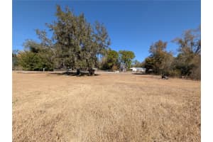 342 CREEKWOOD RUN, LAKELAND, FL 33809 - MLS#MFRL4960544