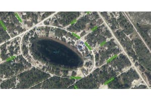 454 LAKE GLORIA DRIVE, LAKE PLACID, FL 33852 - MLS#MFRL4960548