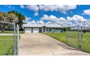 6110 DOWNING STREET, DOVER, FL 33527 - MLS#MFRL4960731