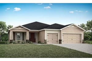 8748 PARKINSON PLACE, WILDWOOD, FL 34785 - MLS#MFRL4960747