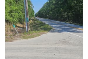 10242 OLD DADE CITY ROAD, LAKELAND, FL 33810 - MLS#MFRL4960758