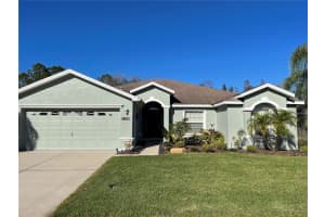 3906 WHISTLEWOOD CIRCLE, LAKELAND, FL 33811 - MLS#MFRL4960776
