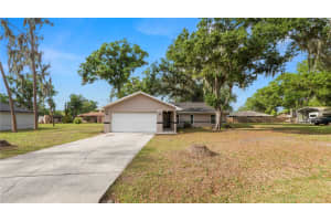 3405 TANAGER LANE, MULBERRY, FL 33860 - MLS#MFRL4960849