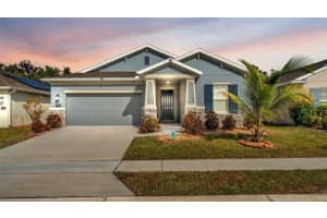 244 PERSHING STREET, BARTOW, FL 33830 - MLS#MFRL4960855