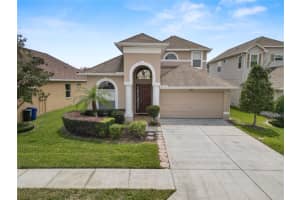 30816 PUMPKIN RIDGE DRIVE, WESLEY CHAPEL, FL 33543 - MLS#MFRL4960955