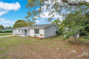 391 WALTON AVENUE, TARPON SPRINGS, FL 34689 - MLS#MFRL4961018