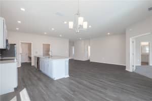 6069 DROPWORT DRIVE, WIMAUMA, FL 33598 - MLS#MFRL4961078