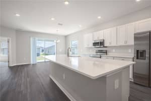 6069 DROPWORT DRIVE, WIMAUMA, FL 33598 - MLS#MFRL4961078