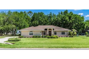 303 9TH STREET, FORT MEADE, FL 33841 - MLS#MFRL4961148