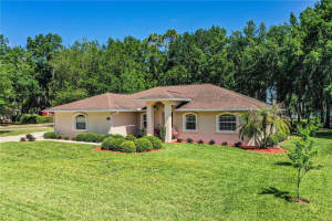 303 9TH STREET, FORT MEADE, FL 33841 - MLS#MFRL4961148